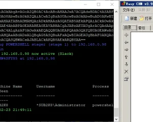 渗透测试技巧之后门植入及持久性控制backdoor