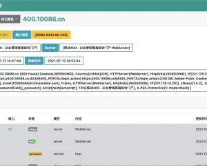 Nemo 渗透测试自动化信息收集平台 开源工具