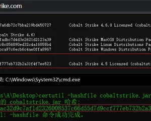 cobalt strike4.5官方版本 CobaltStrike 4.5 Original