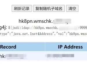 DNS log平台搭建