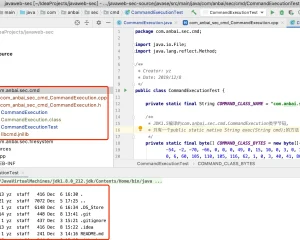 Java Web安全之java基础-JNI安全基础
