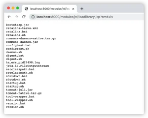 Java Web安全之Java web常见漏洞-JNI攻击