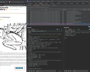 PortSwigger Web Security Academy lab 操作系统命令注入