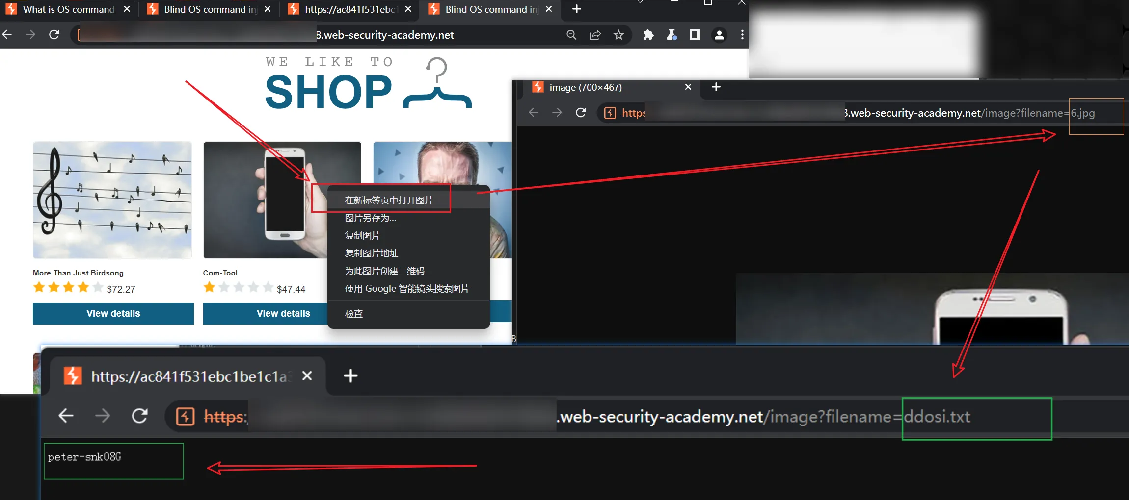 PortSwigger Web Security Academy lab 操作系统命令注入