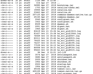 Java Web安全之java基础-Java本地命令执行