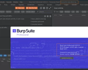 burpsuite pro2022.9.1破解版下载build16047 cracked