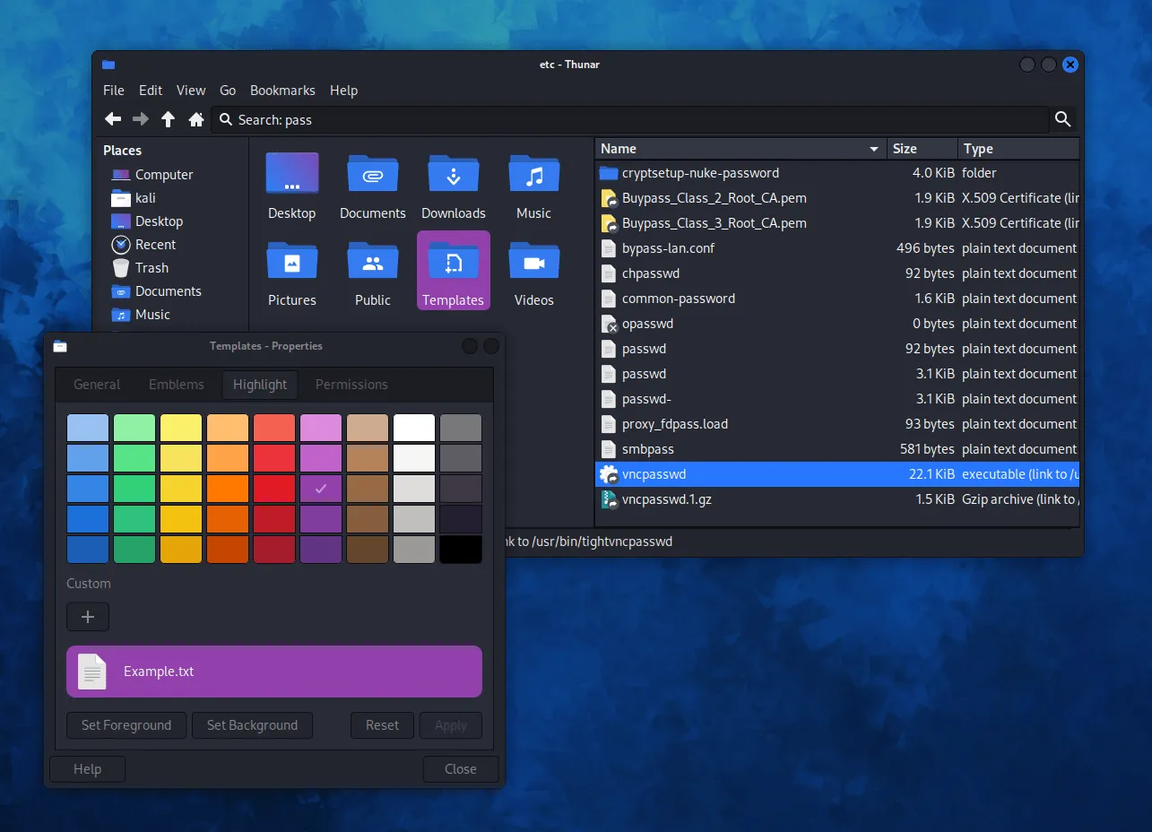 Kali Linux 2023.1发布-10周年版-Kali Purple