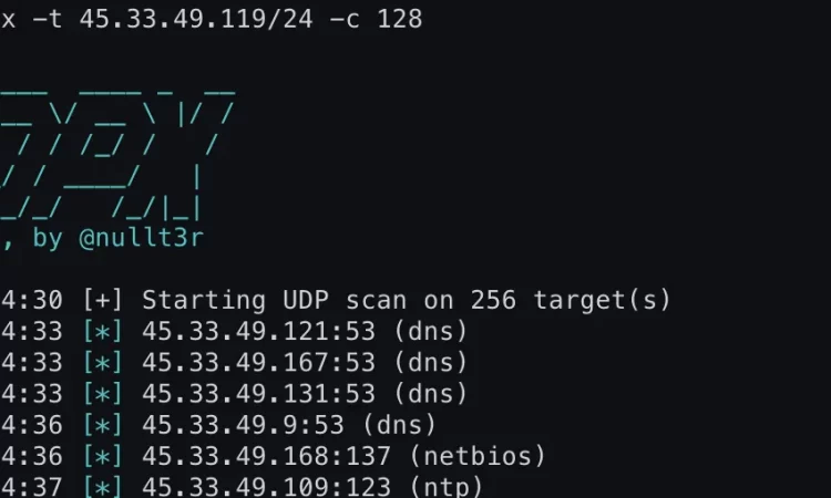 UDPX 轻量级高速单数据包UDP扫描器
