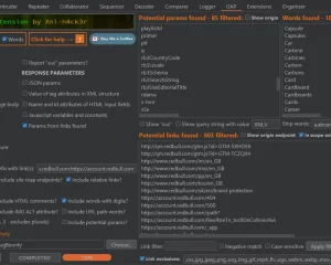 GAP Burp Extension 查找潜在的端点参数生成词表的Burp扩展