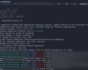 Nuclei-Templates-Collection Nuclei模板收集