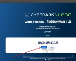 White Phoenix 开源勒索软件解密器