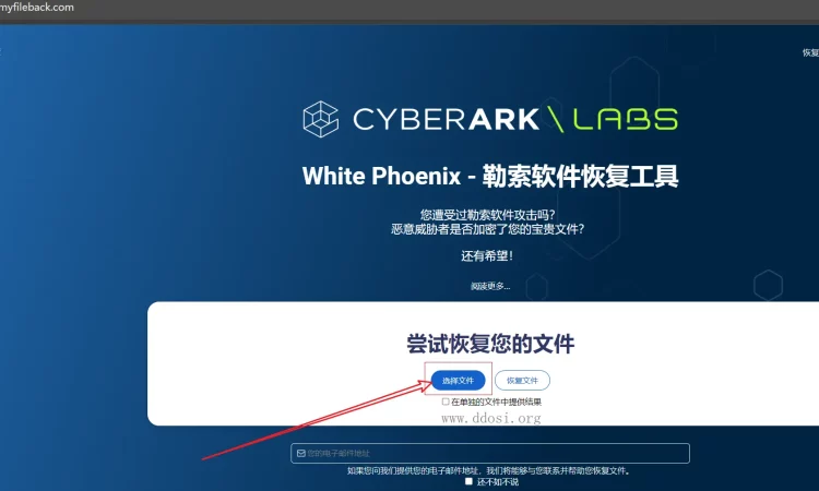 White Phoenix 开源勒索软件解密器