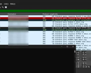 wireshark 4.2.4发布 修复CVE-2024-2955漏洞 149种协议更新