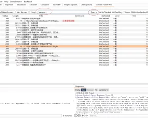 domain hunter pro | burpsuite插件之域名收集工具
