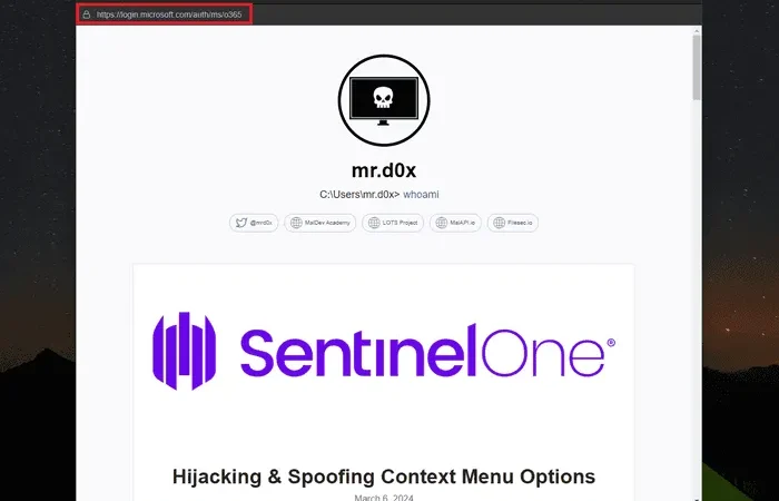 渐进式 Web 应用程序 (PWAs) 网络钓鱼