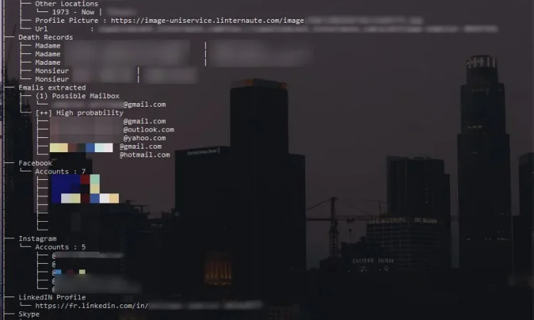 DaProfiler 开源情报信息收集工具（OSINT）