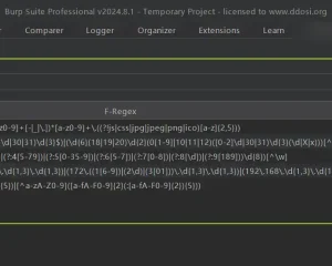 HaE 3.3.3已更新 burpsuite敏感信息识别插件