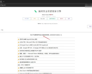 漏洞赏金猎人搜索引擎