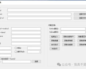SqlMapForGui SQLmap辅助工具