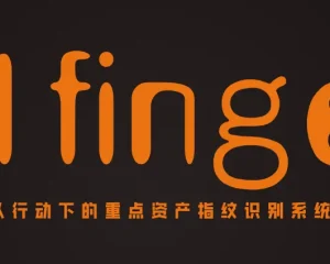 P1finger 红队行动下的重点资产指纹识别工具