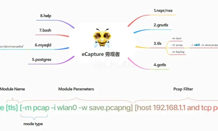 eCapture（旁观者）：基于eBPF技术实现SSL/TLS明文捕获/抓包