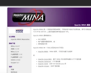 CVE-2024-52046 Apache MINA反序列化漏洞