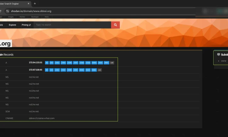 Shodan Chrome 扩展程序已升级到版本3
