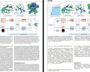 PDFMathTranslate pdf2zh PDF文档翻译及双语对照工具